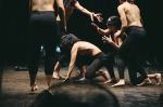 16ο ARC FOR DANCE FESTIVAL